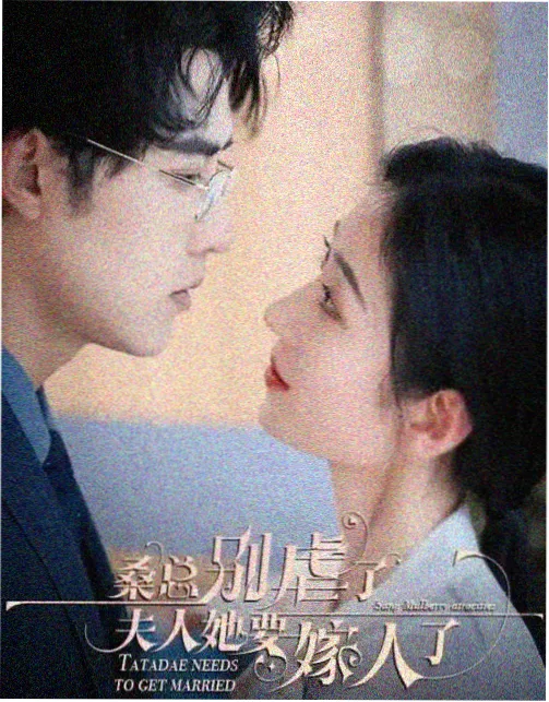 雾港往事字幕封面