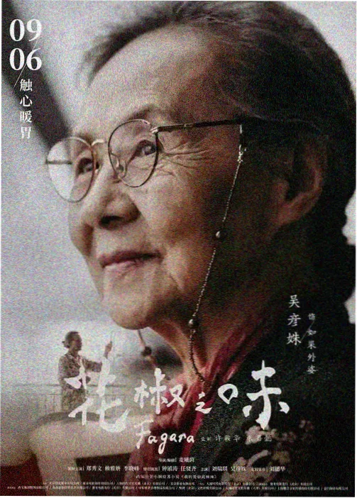 雾港往事加长版片单封面
